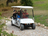 Créditos: Parques de Sintra Entrevista: Carros elétricos “low cost” para passeios em Sintra