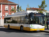 Autocarros elétricos carregam através do asfalto